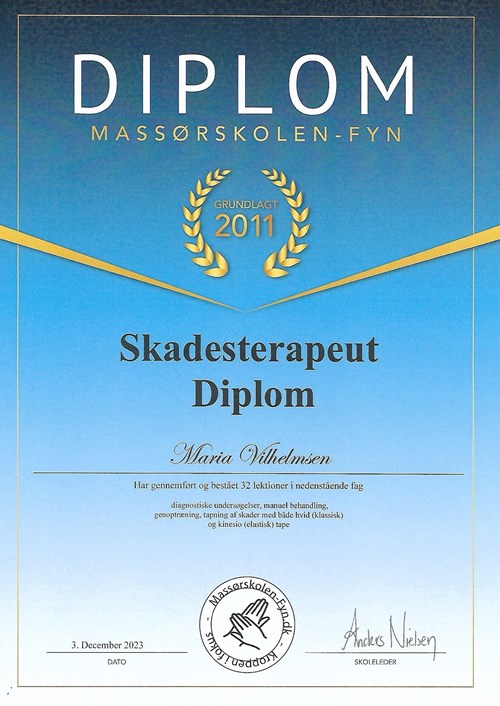 Skadesterapeut